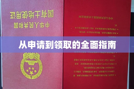 临颍从申请到领取的全面指南